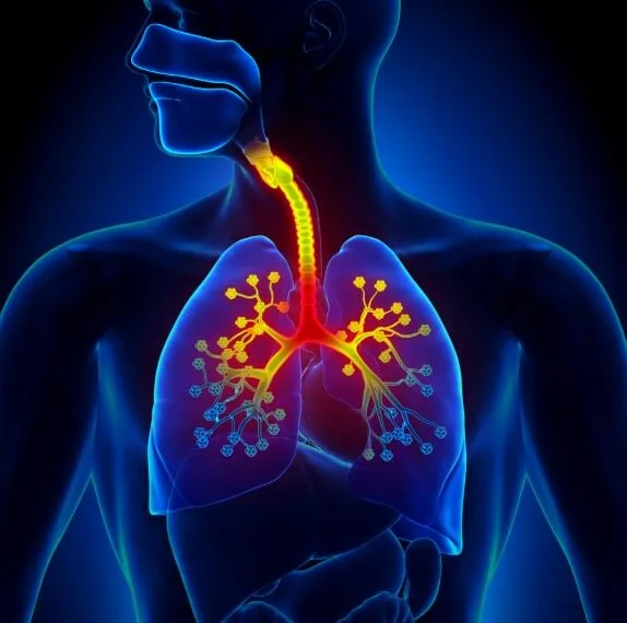 Does Urgent Care Do Chest X Rays